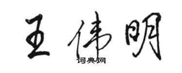 駱恆光王偉明行書個性簽名怎么寫