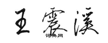 駱恆光王震溪行書個性簽名怎么寫