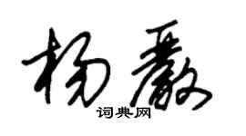 朱錫榮楊嚴草書個性簽名怎么寫