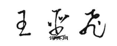 駱恆光王聖飛草書個性簽名怎么寫