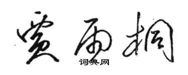 駱恆光賈雨桐草書個性簽名怎么寫