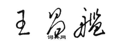 駱恆光王昌艦草書個性簽名怎么寫