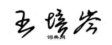 朱錫榮王培岑草書個性簽名怎么寫