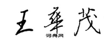 王正良王華茂行書個性簽名怎么寫