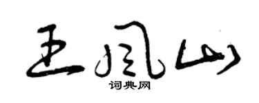 曾慶福王風山草書個性簽名怎么寫