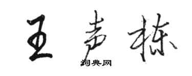 駱恆光王聲棟行書個性簽名怎么寫