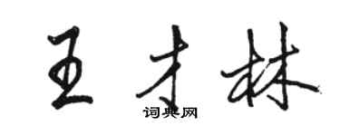 駱恆光王才林行書個性簽名怎么寫