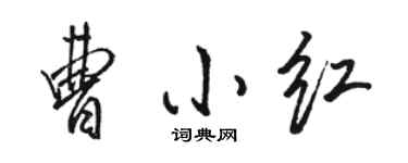 駱恆光曹小紅行書個性簽名怎么寫