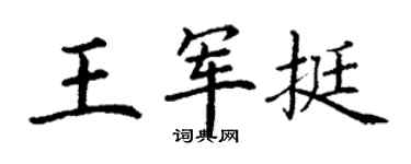 丁謙王軍挺楷書個性簽名怎么寫