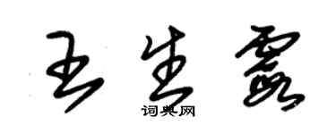 朱錫榮王生霞草書個性簽名怎么寫