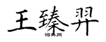 丁謙王臻羿楷書個性簽名怎么寫