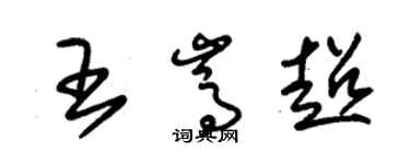 朱錫榮王嵩超草書個性簽名怎么寫