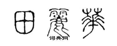 陳聲遠田麗華篆書個性簽名怎么寫