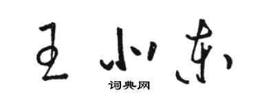 駱恆光王北東草書個性簽名怎么寫