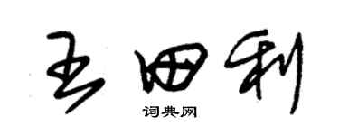 朱錫榮王田利草書個性簽名怎么寫