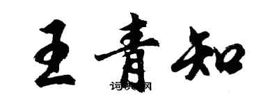 胡問遂王青知行書個性簽名怎么寫