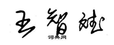 朱錫榮王智斌草書個性簽名怎么寫