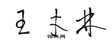 駱恆光王才林草書個性簽名怎么寫