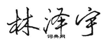 駱恆光林澤宇行書個性簽名怎么寫