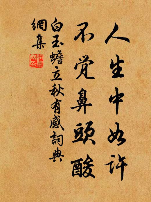 白玉蟾人生中如許,不覺鼻頭酸書法作品欣賞