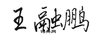 駱恆光王融鵬行書個性簽名怎么寫