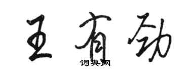 駱恆光王有勁行書個性簽名怎么寫
