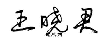 曾慶福王曉君草書個性簽名怎么寫