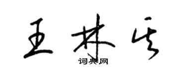 梁錦英王林其草書個性簽名怎么寫