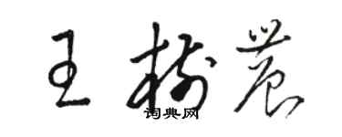 駱恆光王樹農草書個性簽名怎么寫