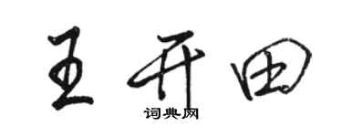 駱恆光王開田行書個性簽名怎么寫