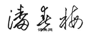 駱恆光潘春梅草書個性簽名怎么寫