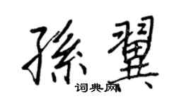 王正良孫翼行書個性簽名怎么寫