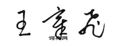 駱恆光王章飛草書個性簽名怎么寫