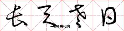 曾慶福長天老日草書怎么寫