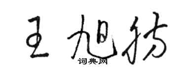 駱恆光王旭肪草書個性簽名怎么寫