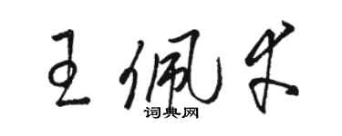 駱恆光王佩幸草書個性簽名怎么寫