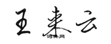 駱恆光王來雲行書個性簽名怎么寫