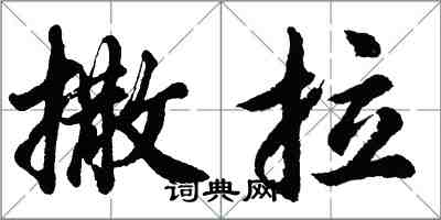 胡問遂撒拉行書怎么寫