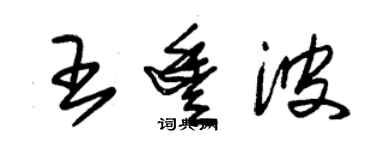 朱錫榮王豐波草書個性簽名怎么寫