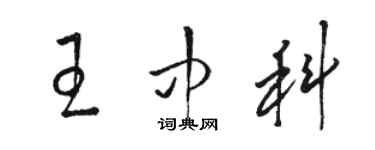 駱恆光王中科草書個性簽名怎么寫