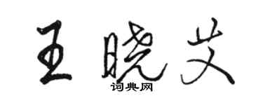 駱恆光王曉艾行書個性簽名怎么寫