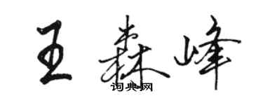 駱恆光王森峰行書個性簽名怎么寫