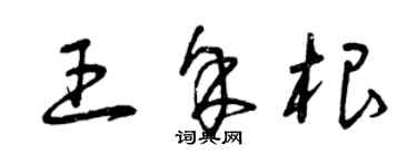 曾慶福王余根草書個性簽名怎么寫