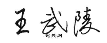 駱恆光王武陵行書個性簽名怎么寫