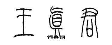 陳墨王真君篆書個性簽名怎么寫