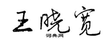 曾慶福王曉寬行書個性簽名怎么寫