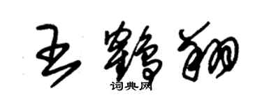 朱錫榮王鶴翔草書個性簽名怎么寫