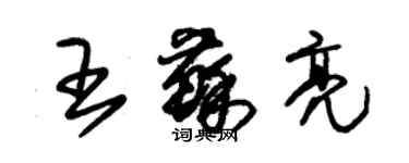 朱錫榮王蘇亮草書個性簽名怎么寫