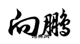 胡問遂向鵬行書個性簽名怎么寫