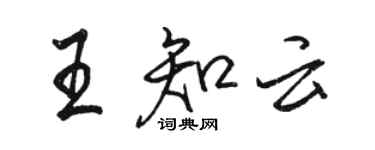 駱恆光王知雲行書個性簽名怎么寫